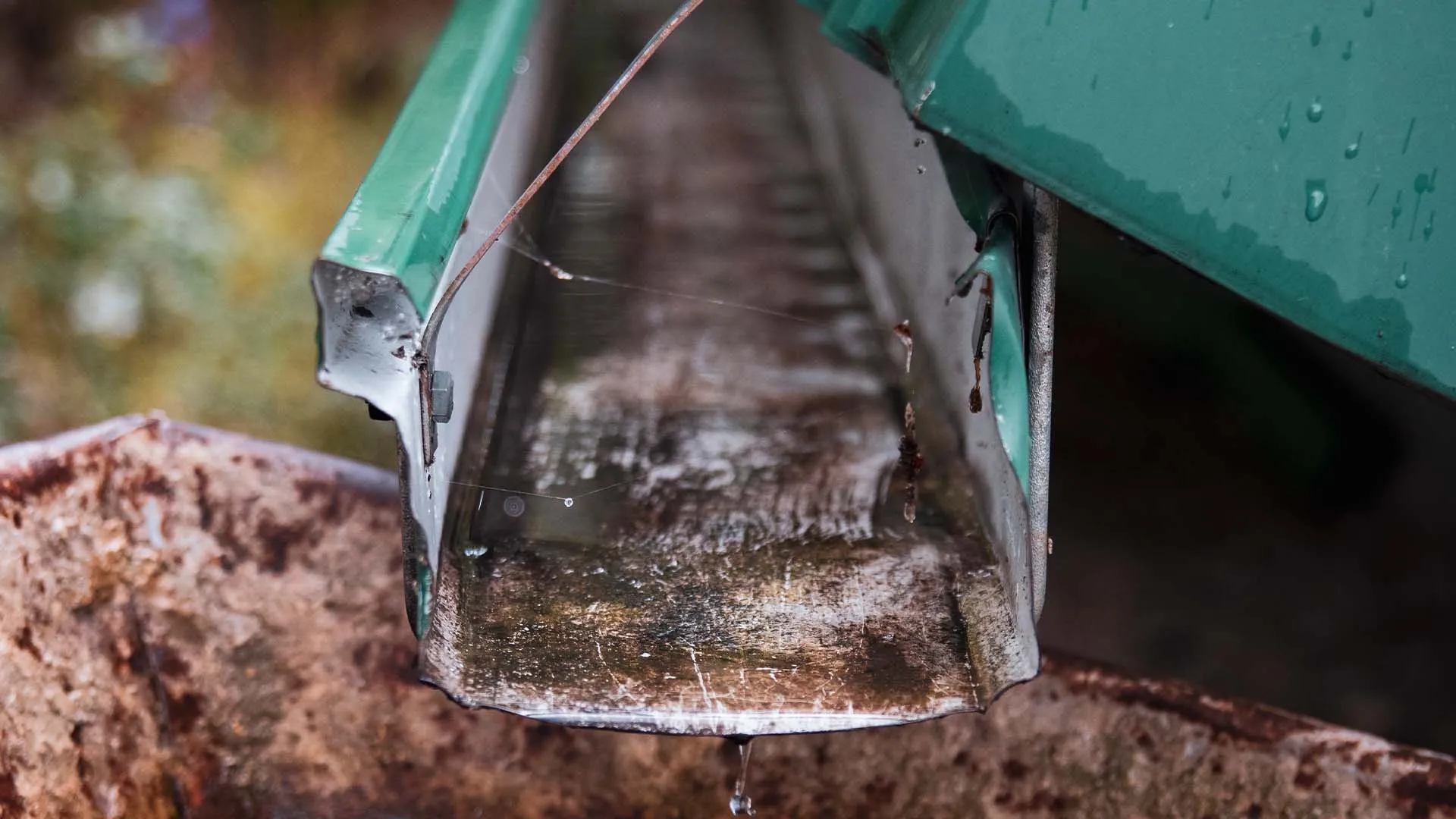 Como as Caleiras Contribuem para um Futuro Mais Verde
